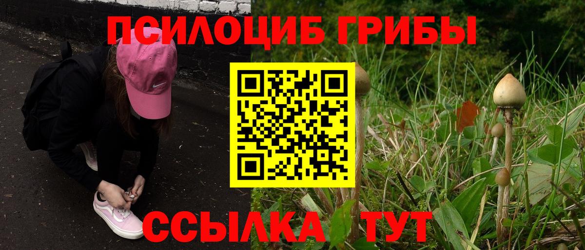 цены   Галлюциногенные грибы Cubensis  Арсеньев  Вход с VPN  Галлюциногенные грибы Magic Shrooms 
