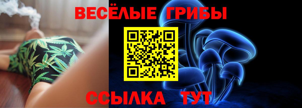 Псилоцибиновые грибы мицелий Арсеньев